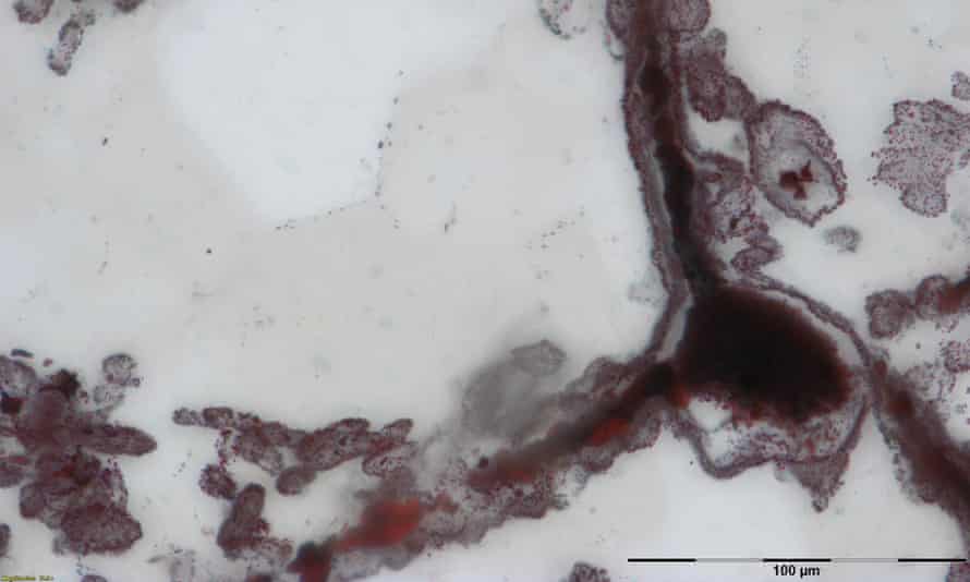 Haematite filament attached to a clump of iron (lower right), from hydrothermal vent deposits discovered in a rock formation in Quebec, Canada, known as the Nuvvuagittuq supracrustal belt (NSB).