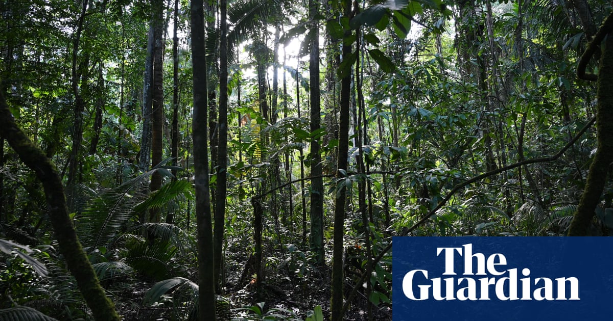 Man lost in Amazon for a month says he ate worms and drank own urine to survive