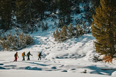 A group of walkers, hiking in the valley