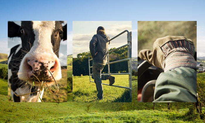 Why Understanding The Land Is Key To Sustainable Dairy Farming Dairy Australia Sustainable Futures The Guardian