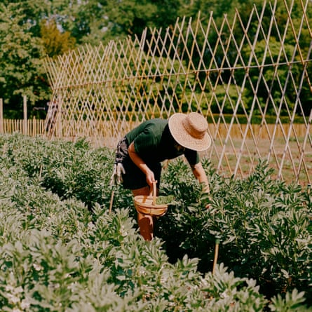 A person in a hat works in the garden at the Raymond Blanc Gardening School