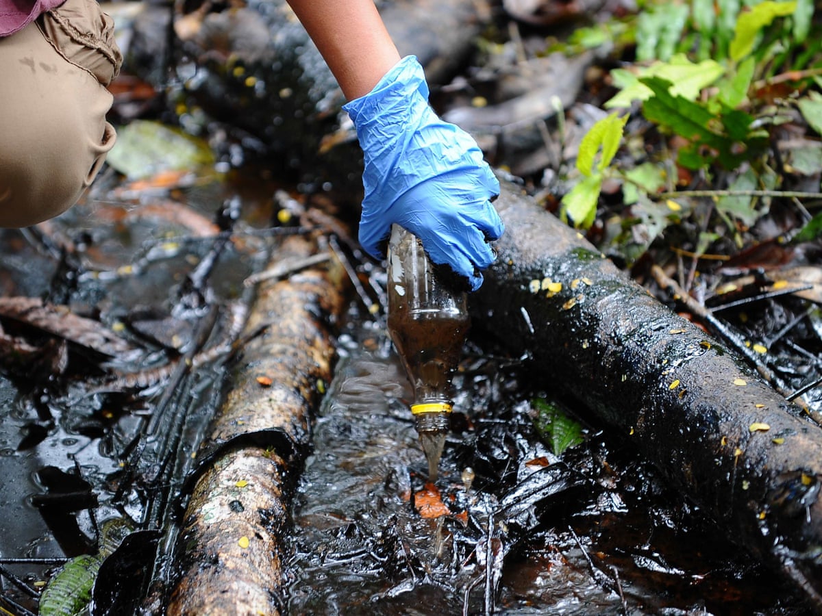 Crude Reflections / Cruda Realidad: Oil, Ruin and Resistance in the Rainforest