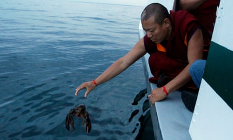 A Buddhist monk releases a lobster into the ocean.