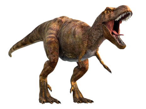 T rex's keyhole eye sockets helped its bite, research suggests, Dinosaurs
