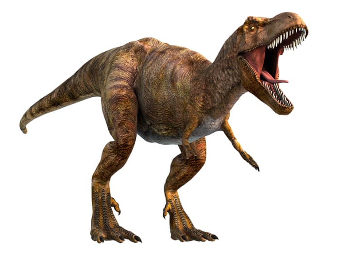 T rex's keyhole eye sockets helped its bite, research suggests | Dinosaurs  | The Guardian