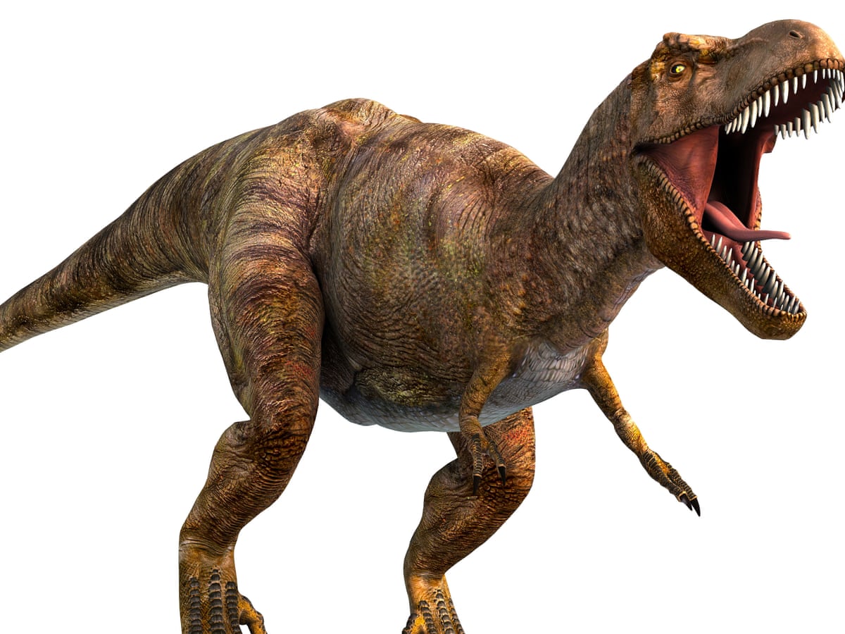 T rex's keyhole eye sockets helped its bite, research suggests, Dinosaurs