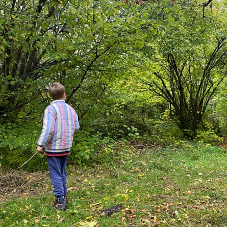 Jasper searching for fungi