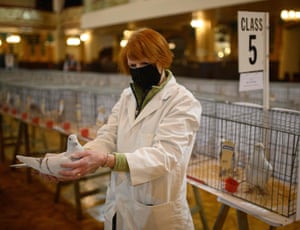 A judge prepares to cage a pigeon prior to the process of selecting the ‘Best In Show’ during the 50th anniversary edition of the annual British Homing World ‘Show of the Year’ held in Blackpool, north west England. Although cancelled last year due to the Covid pandemic, it is the UK’s biggest gathering of pigeon fanciers; attracting up to 15,000 visitors to see the showing and judging of over 2,000 of the country’s best homing pigeons.
