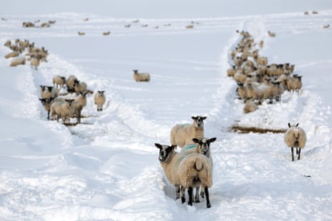 Severe snow and icy conditions have been forecast in Scotland as winter weather continues to sweep across the UK