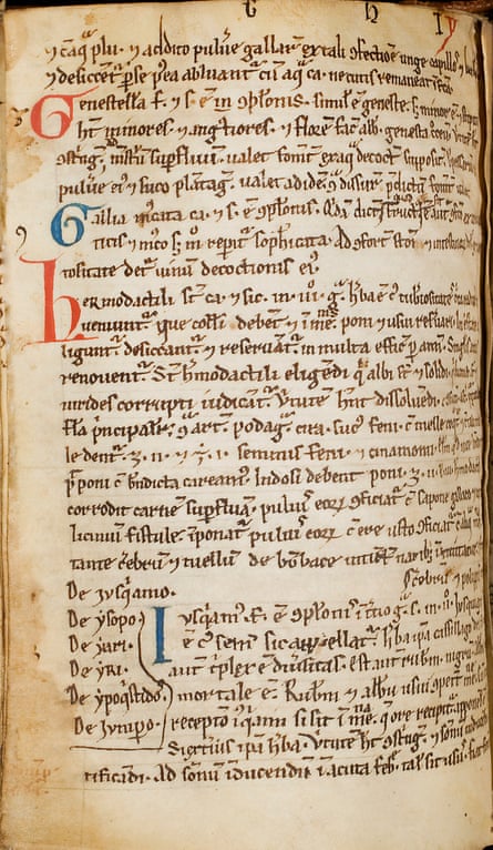 Page of a book showing old-fashioned manuscript on yellowing parchment.