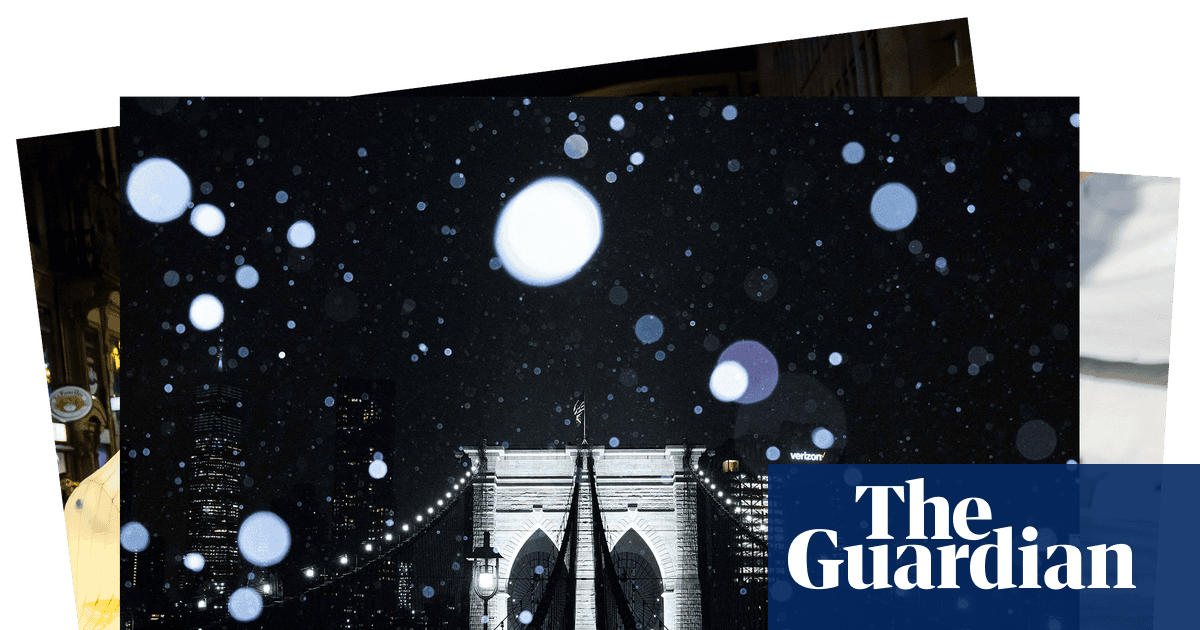 New York snow and baby gibbons: photos of the weekend