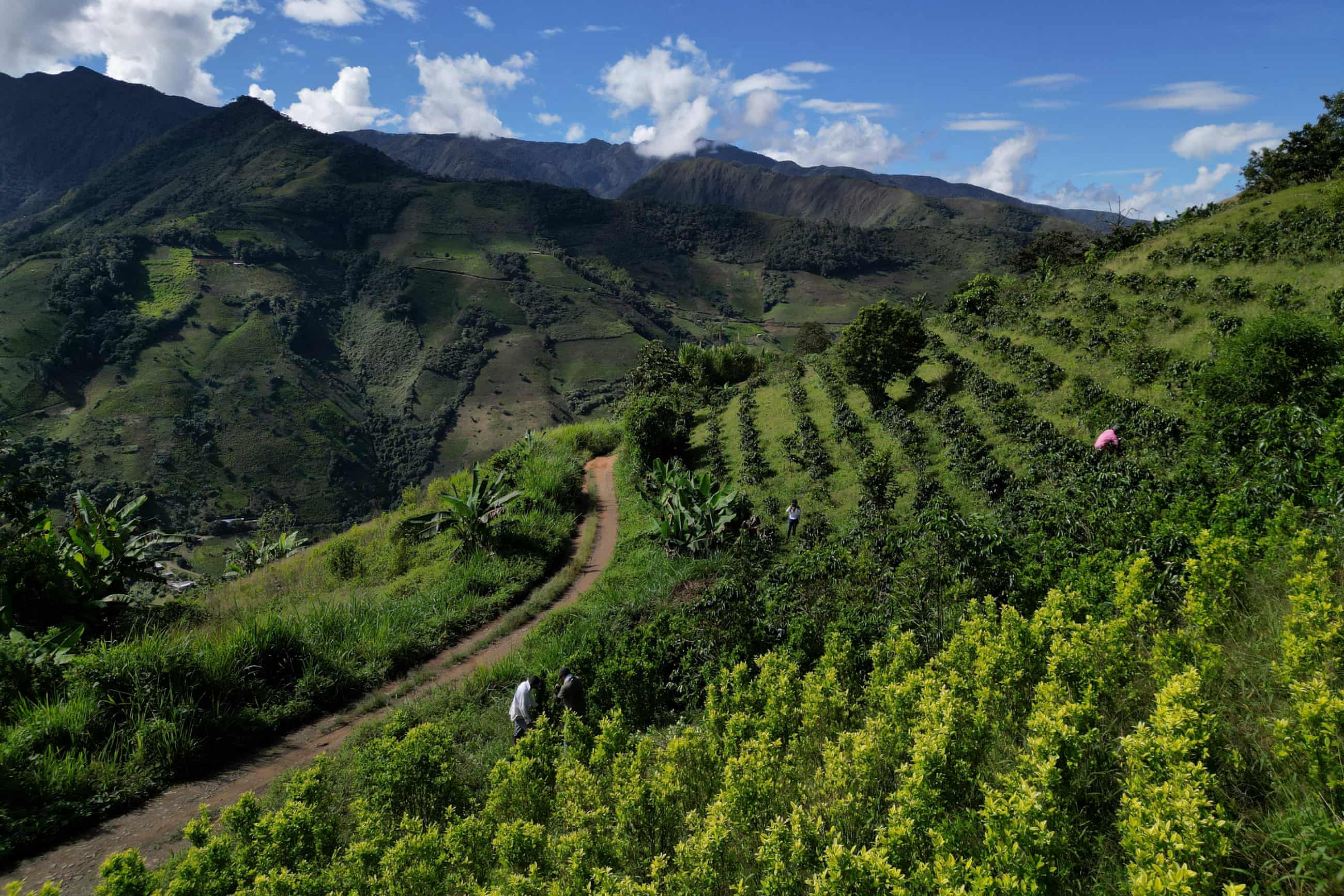 Aiming a Blow at Narcos in Colombia – in Pictures Aiming a Blow at Narcos in Colombia – in Pictures