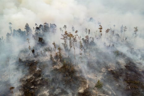 An aerial view shows a fire burning on peatland and forest in Sungai Putri village.