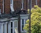 Five Jailed After Victim Escapes Kidnappers by Jumping from Lincoln Window