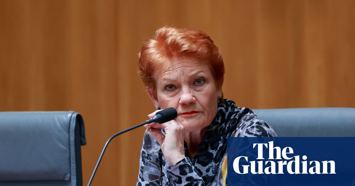 Pauline Hanson secured taxpayer-funded solar rebate despite calling for subsidies to large-scale ren