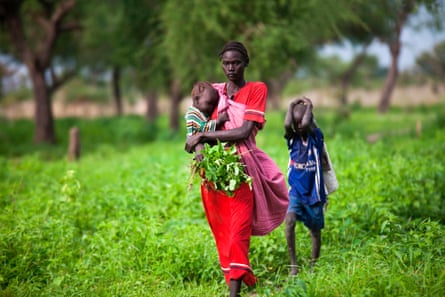 An African woman dressed in bright red, carrying one child while another walks behind her, collects leaves to eat
