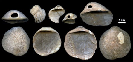Some of the perforated shells found in the Aviones cave and dated to between 115,000 and 120,000 years ago.
