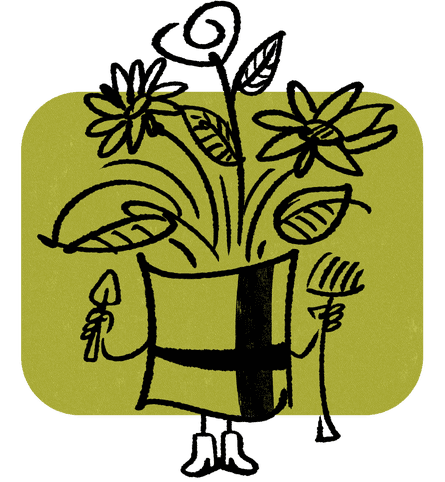 Present illustration