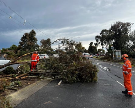 Workers move a fallen tree
