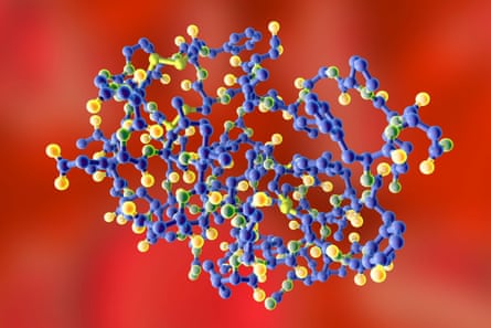 The molecular structure of IGF-1 (insulin-like growth factor) – found in elevated levels in larger, shorter-lived dogs and also present in the human body.