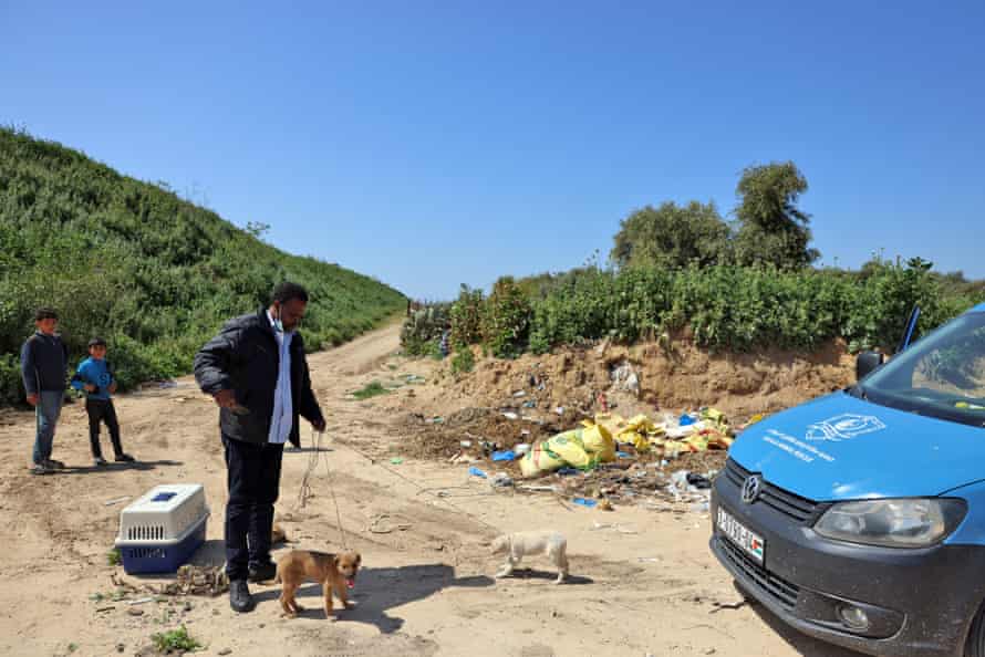 Err during an animal rescue mission at the central Gaza strip