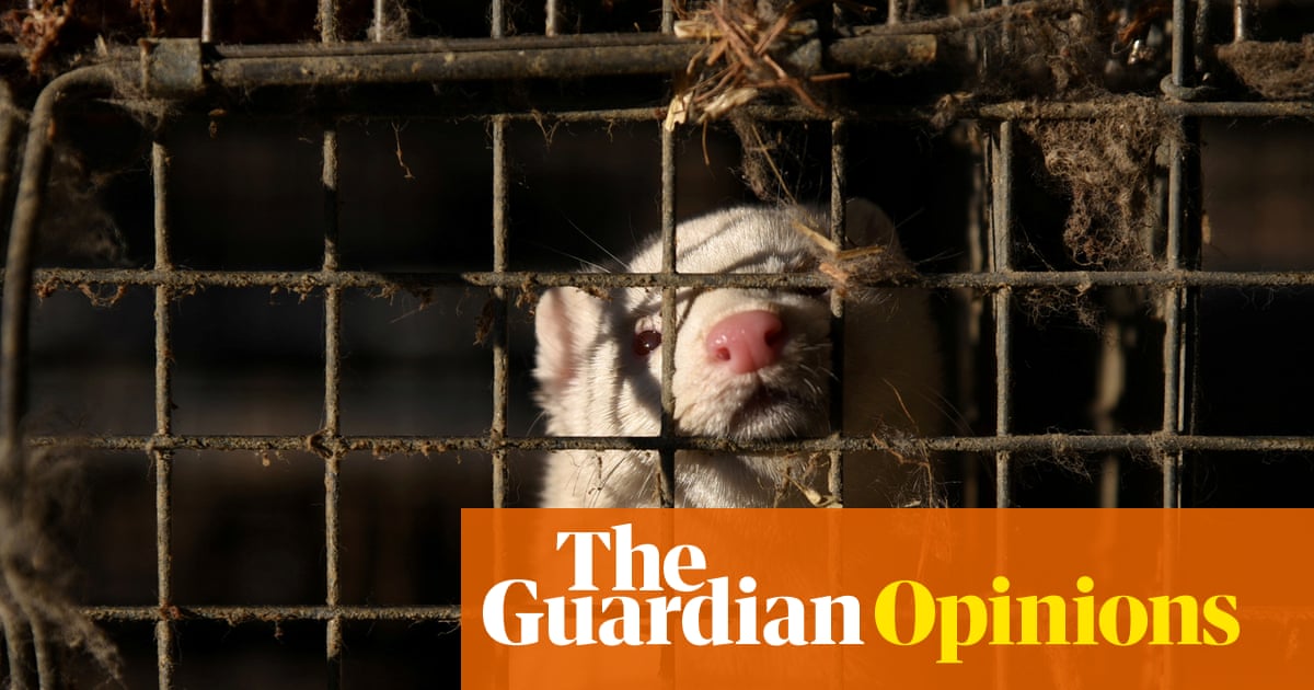 Fur Farms: Next Pandemic or Just Another Excuse for the Woke Mob to Cancel Stuff?