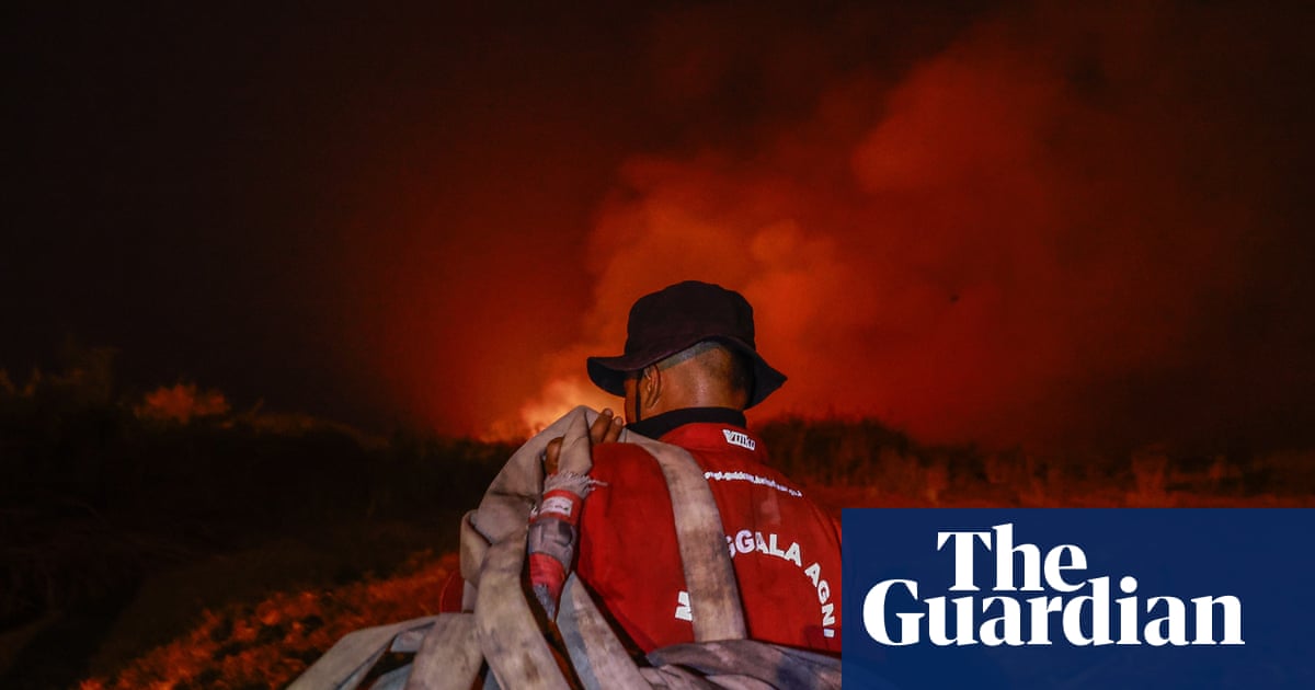 El Niño-fuelled wildfires destroy precious Indonesian forests – in pictures