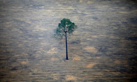 An aerial view shows a deforested plot of the Amazon near Porto Velho, Rondonia State, Brazil in September.