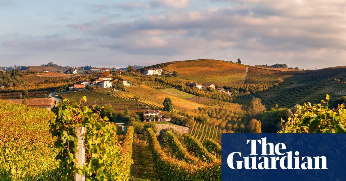 European wine, chocolate and cars to become cheaper in Australia amid landmark trade deal with EU