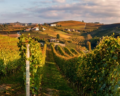 European cars, wine, and chocolate products