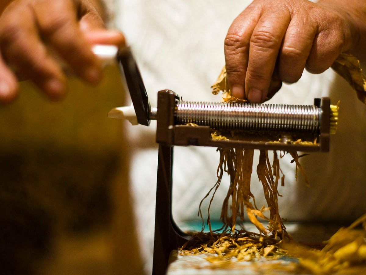 can you eat tobacco plants A little tobacco in your chai? Leaf finds its way on to menus around the world | Food can you eat tobacco plants A little tobacco in your chai? Leaf finds its way on to menus around the world | Food