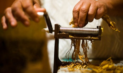 how to grind tobacco A little tobacco in your chai? Leaf finds its way on to menus around the world | Food how to grind tobacco A little tobacco in your chai? Leaf finds its way on to menus around the world | Food