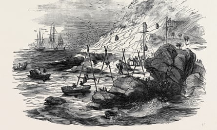 Loaded to the gunnells: an illustration of boats shipping guano in the 1850s from Peru.