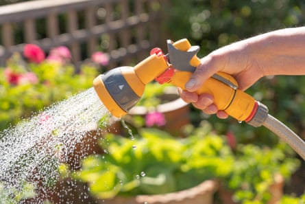Watering plants in a garden.