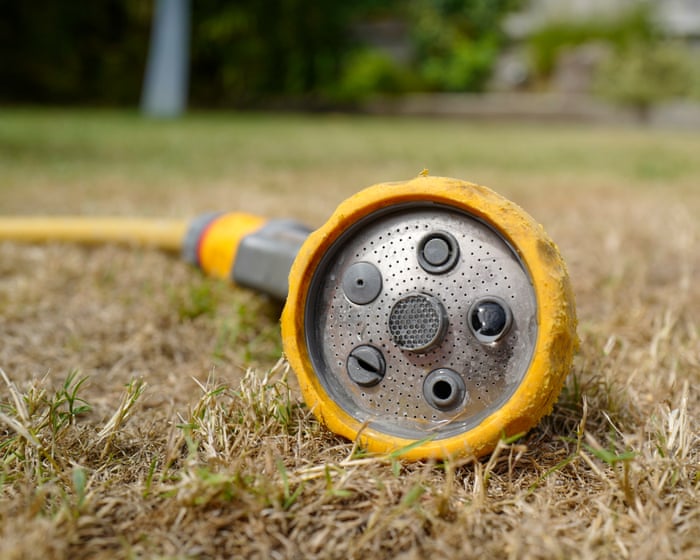 Water firms in England and Wales ‘leak five times what hosepipe ban would save’
