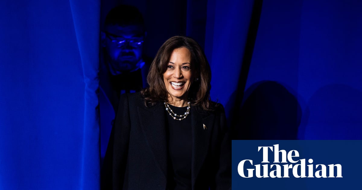 Democrats belatedly publish 2024 presidential election autopsy report
