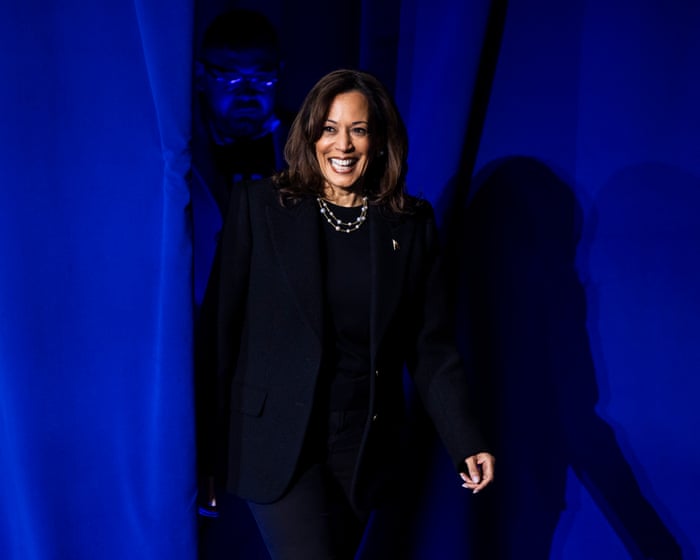 Democrats belatedly publish 2024 presidential election autopsy report