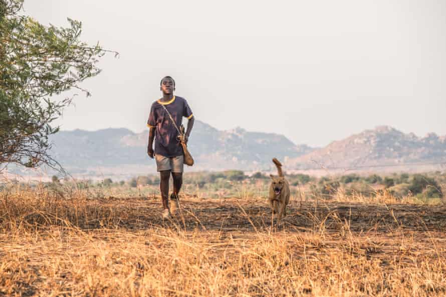 Un informe de la UNESCO encontró que las películas ambientadas en África, como The Boy Who Harnessed the Wind, de producción británica, han sido aclamadas por la crítica, pero las industrias creativas del continente están seriamente desatendidas.