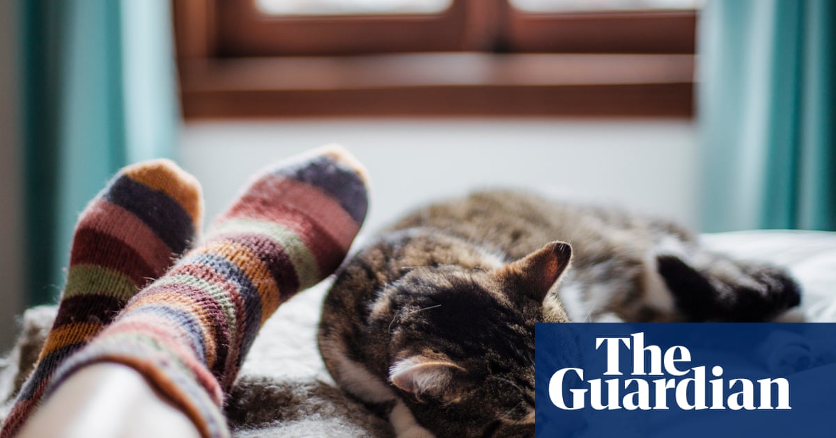 Why is ‘Cat Person’ going viral again?