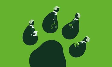 illustration of paw print
