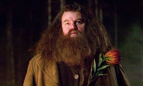 Robbie Coltrane in Harry Potter and the Goblet of Fire.