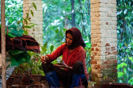 A woman with a scarf on her head sits holding plant matter