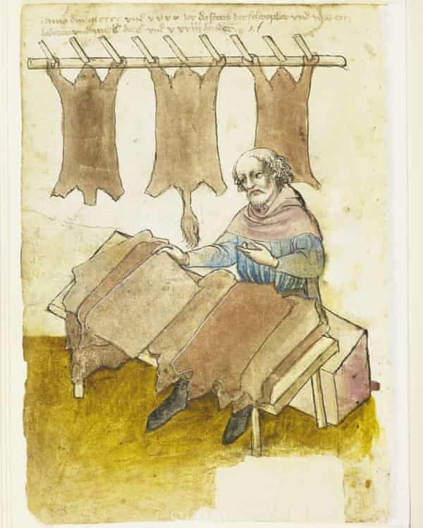 Illustration of man sorting skins after drying
