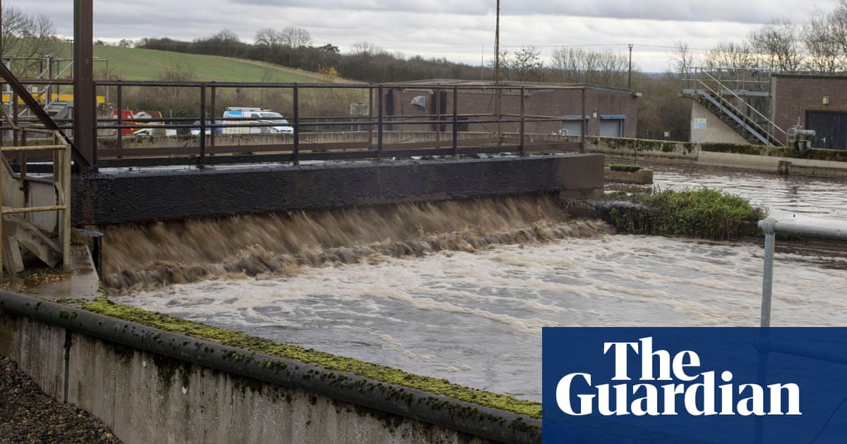 Environment Agency insider alleges cover-up' over sewage sludge on farmland
