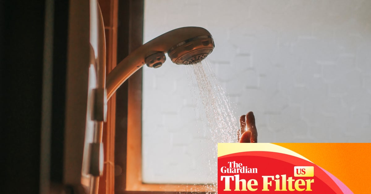 The eight best showerhead filters in the US for every budget and bathroom