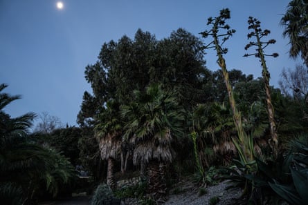 14/12/2022. The Isle of Wight. Ventnor Botanic Gardens.