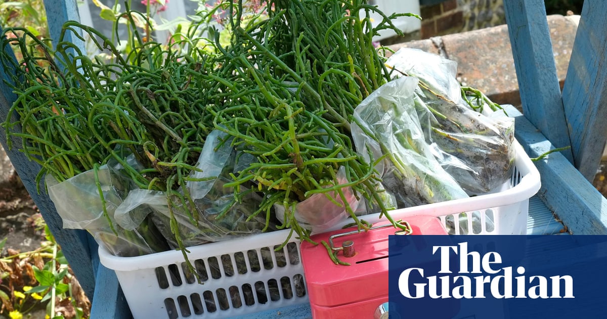 The magic of samphire season: Jimi Famurewa's recipe for mackerel, chorizo, new potato and samphire