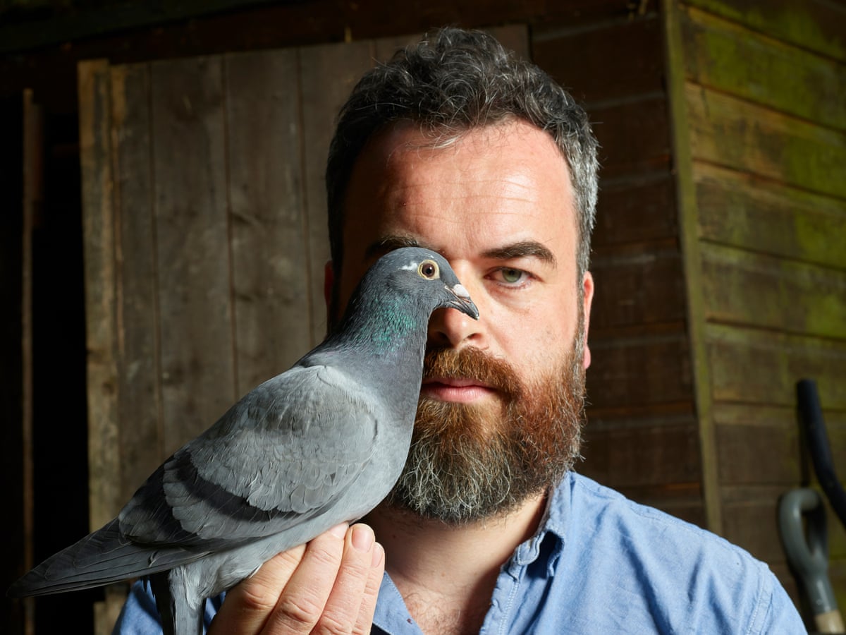 How long can a pigeon go without eating