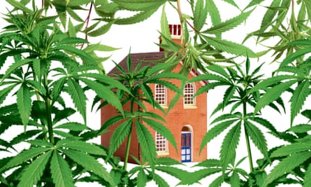 Graphic illustration of a house behind some cannabis plants