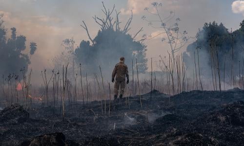 Brazil S Amazon Rainforest Suffers Worst Fires In A Decade Amazon Rainforest The Guardian Brazil S Amazon Rainforest Suffers Worst Fires In A Decade Amazon Rainforest The Guardian